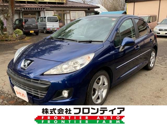2010 Peugeot 207