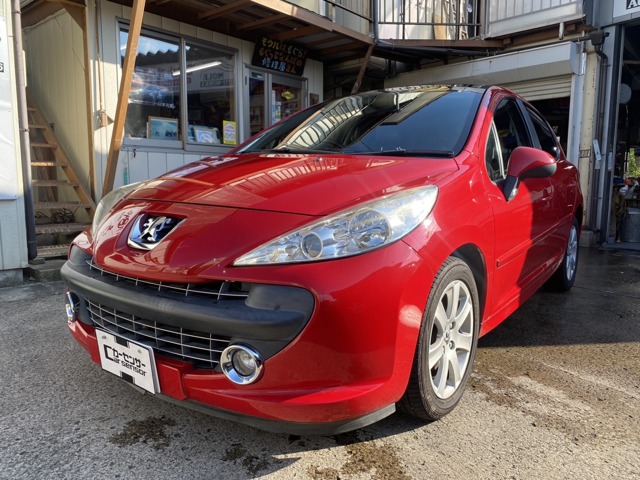 2007 Peugeot 207