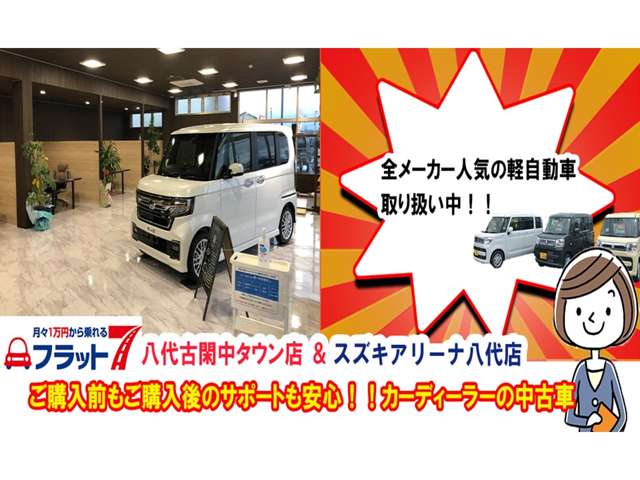 2010 Honda Freed Spike – thumbnail 3