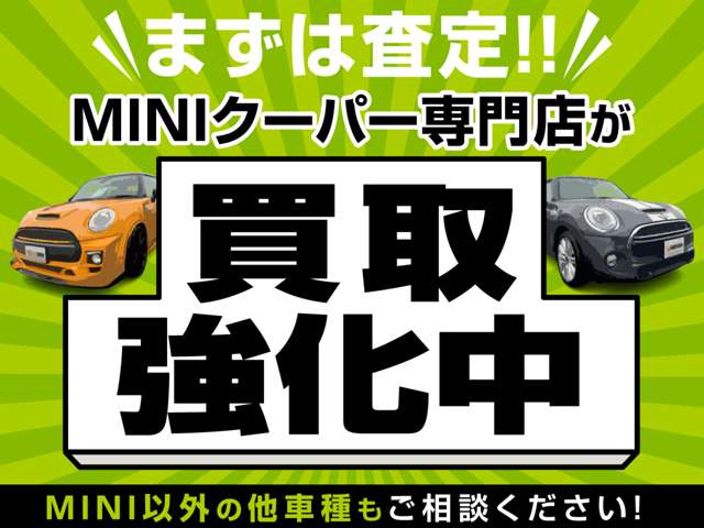 2010 MINI MINI Clubman – thumbnail 3