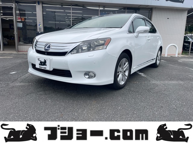 2010 Lexus HS