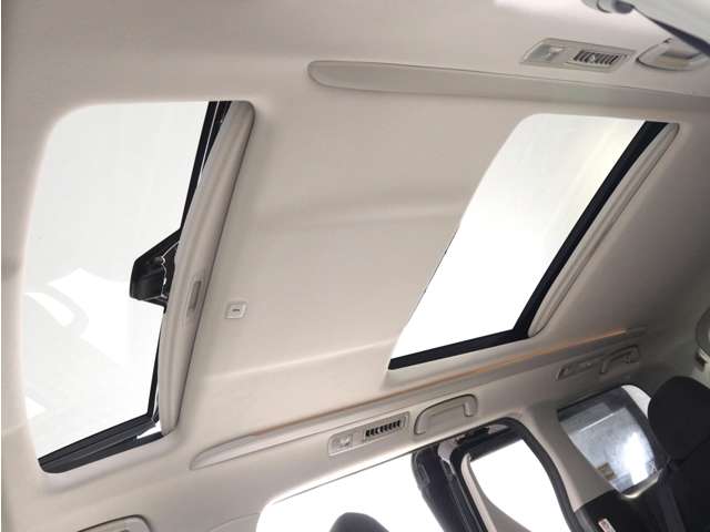 2009 Toyota Vellfire – thumbnail 2