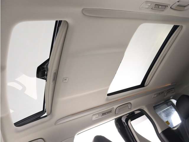 2011 Toyota Alphard – thumbnail 2