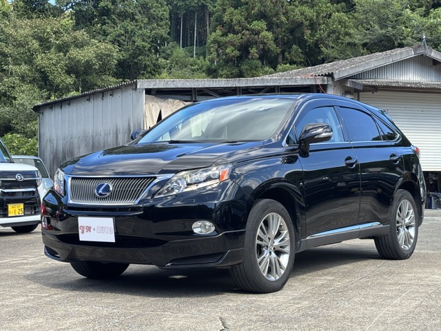 2010 Lexus RX Hybrid