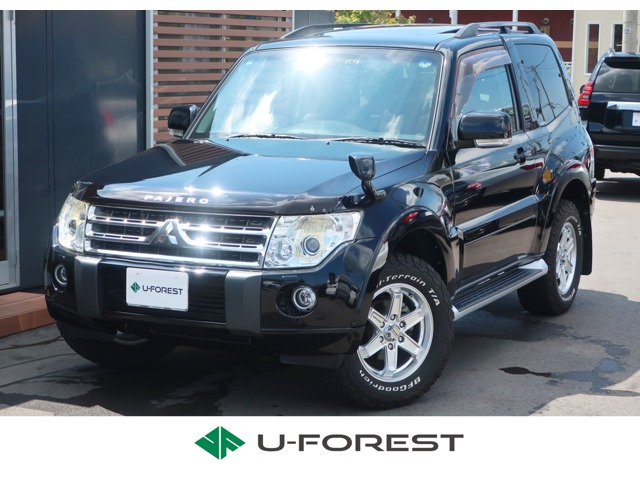 2011 Mitsubishi Pajero