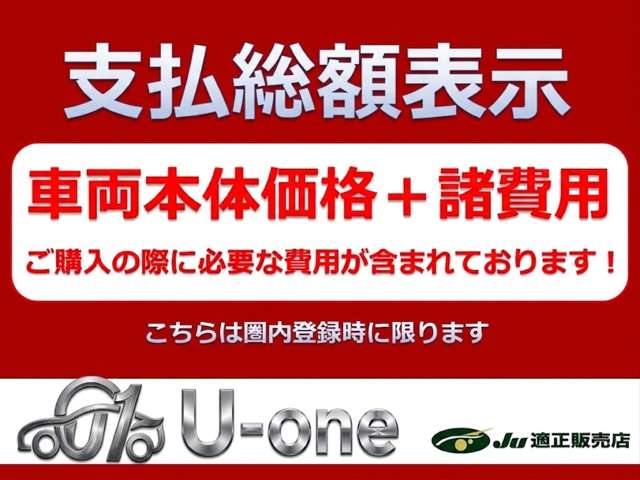 2011 Nissan Skyline Crossover – thumbnail 2