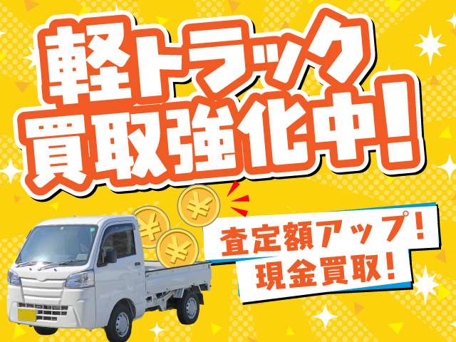2009 Mitsubishi Minicab Truck – thumbnail 2