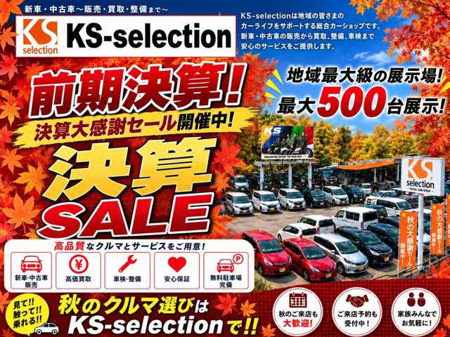 2011 Nissan Serena – thumbnail 2
