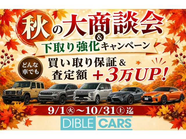 2010 Daihatsu Copen – thumbnail 2