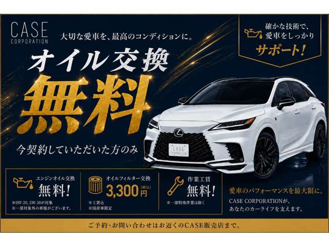 2011 Toyota Prius Alpha – thumbnail 4