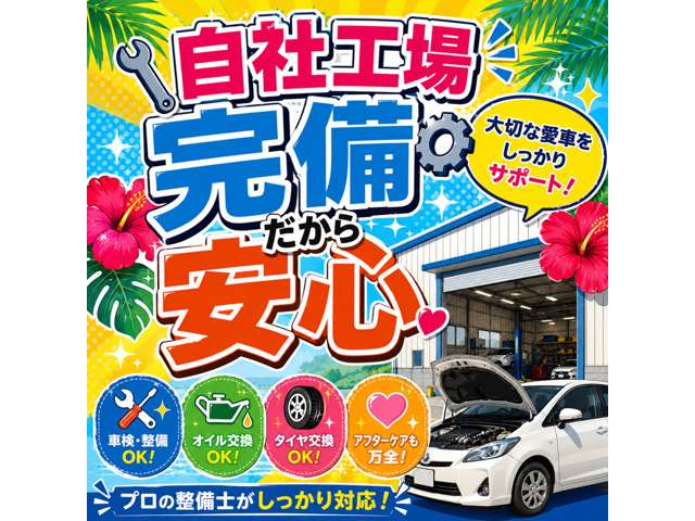 2009 Mitsubishi Delica D:5 – thumbnail 2