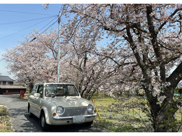 1990 Nissan Pao