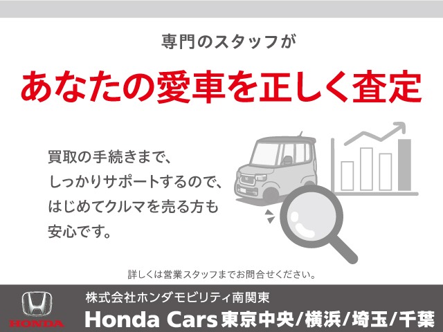 2010 Honda Stepwgn – thumbnail 2