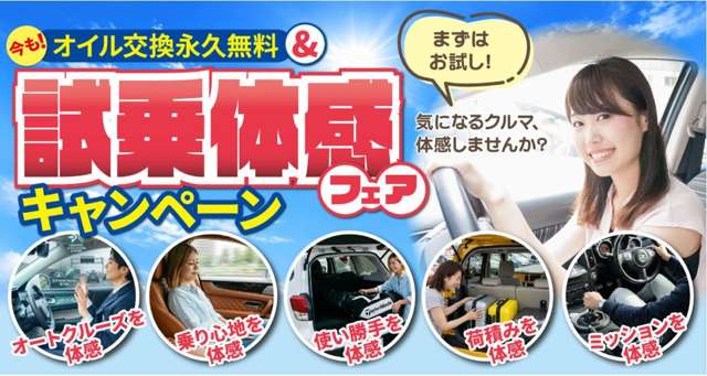 2009 Nissan X-Trail – thumbnail 4