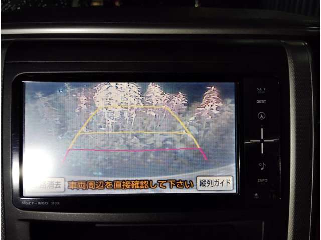 2010 Toyota Alphard – thumbnail 3