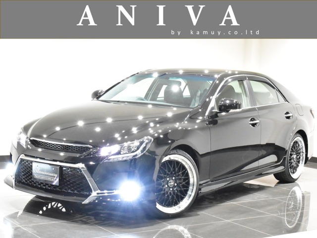 2010 Toyota Mark X