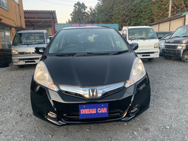 2010 Honda Fit Hybrid