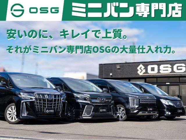2008 Nissan Serena – thumbnail 2