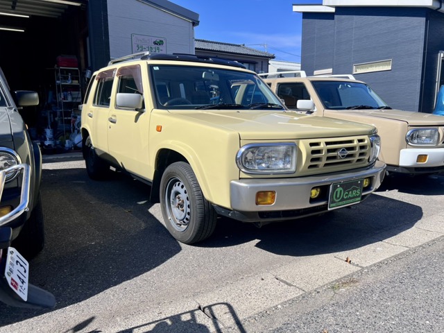 1996 Nissan Rasheen