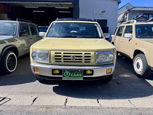 1996 Nissan Rasheen – thumbnail 2